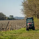 Vandenbeld Wines לינה וארוחת בוקר Minzac