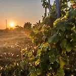 לינה וארוחת בוקר Vandenbeld Wines Minzac