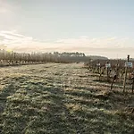 Vandenbeld Wines 4* Minzac