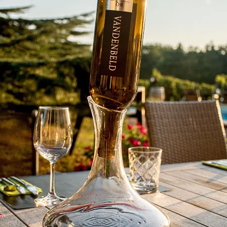 Vandenbeld Wines Bed & Breakfast