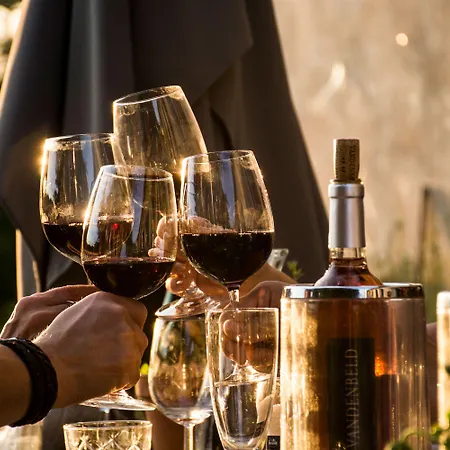 Bed & Breakfast Vandenbeld Wines