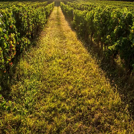 Vandenbeld Wines 4*
