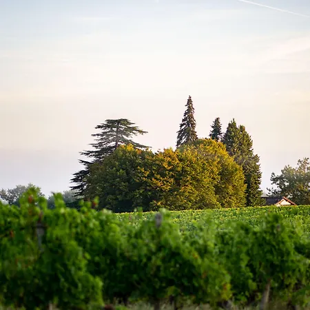 Vandenbeld Wines Bed & Breakfast 4*