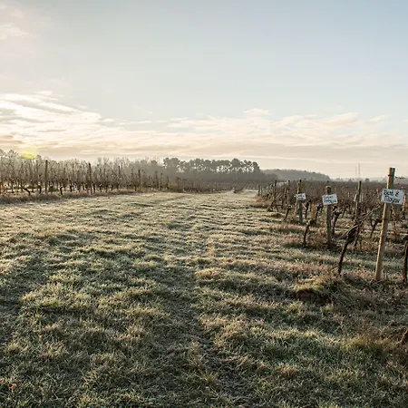 Vandenbeld Wines 4* Minzac