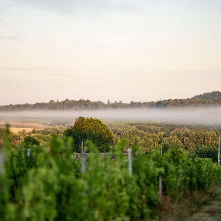 Vandenbeld Wines Minzac