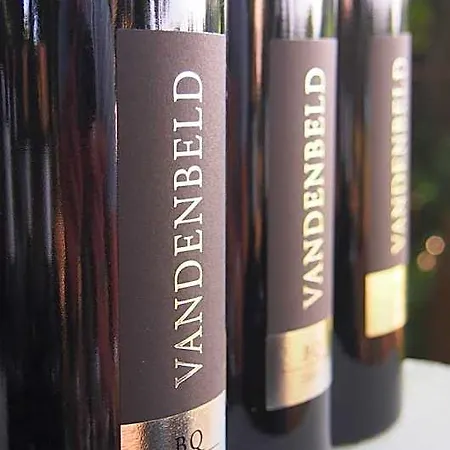 Vandenbeld Wines Alojamento de Acomodação e Pequeno-almoço 4*