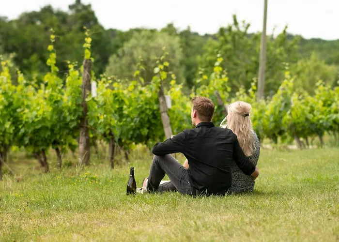 Bed & Breakfast Vandenbeld Wines