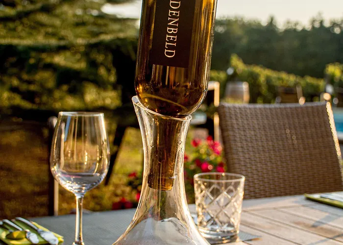 Vandenbeld Wines Oda ve Kahvaltı