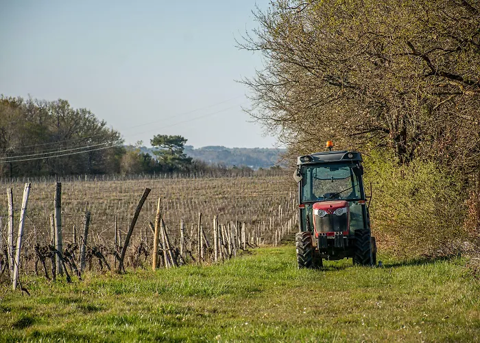 Vandenbeld Wines Oda ve Kahvaltı Minzac