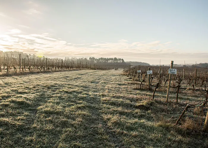 Vandenbeld Wines 4* Minzac