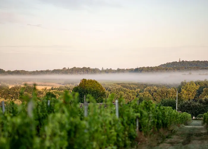 Vandenbeld Wines Minzac